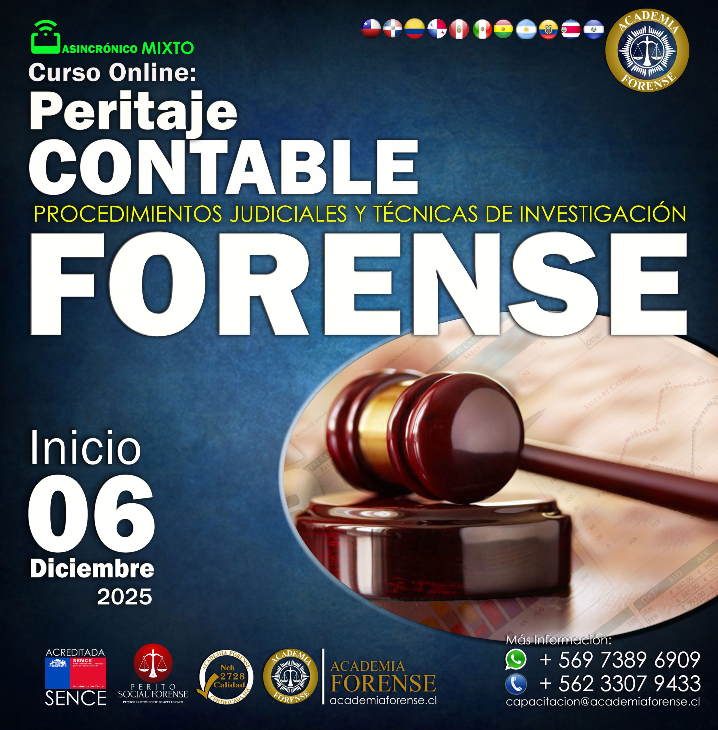 Peritaje Contable Forense