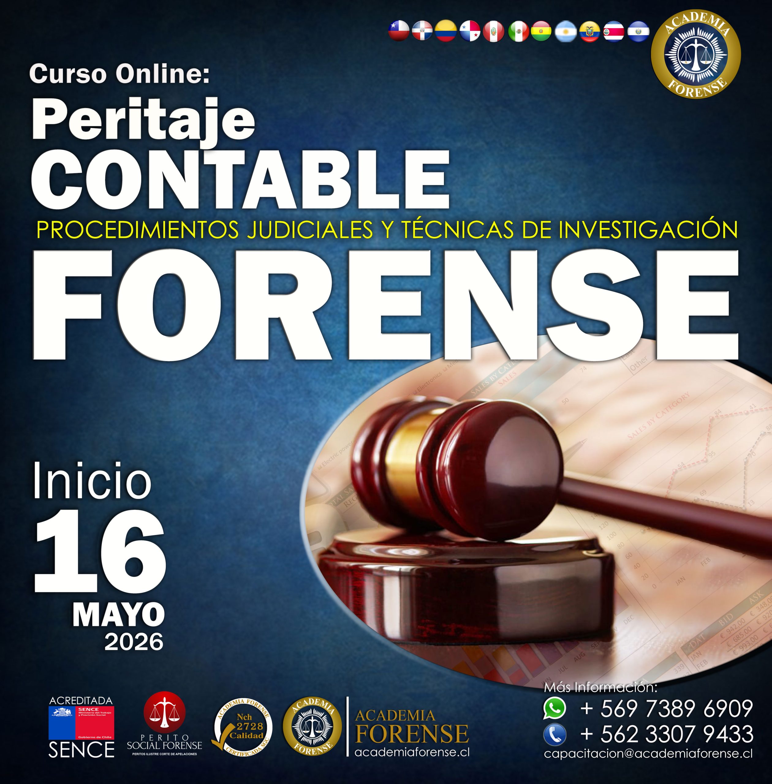 Peritaje Contable Forense